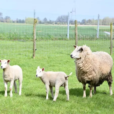 In Near The Lejlighed *