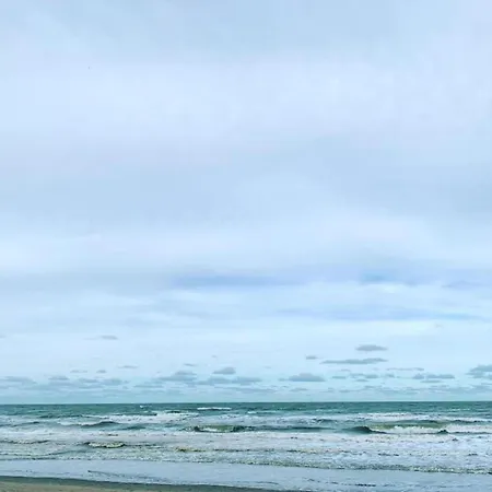 Lejlighed In Near The *