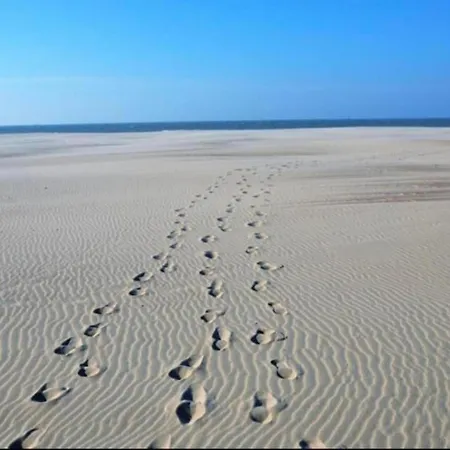 Lägenhet In Near The Nieuwpoort