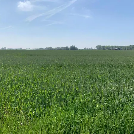 In Near The Lejlighed