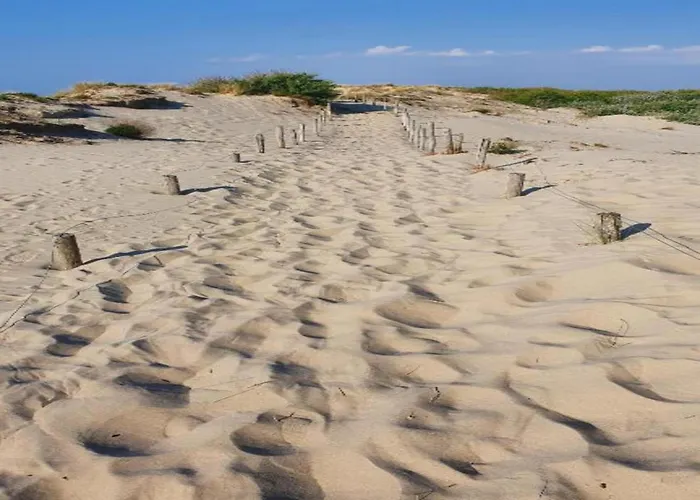 In Near The Ньивпорт