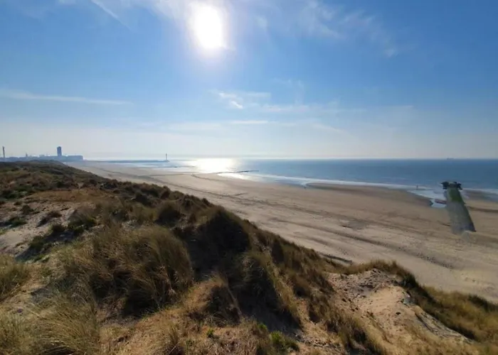 In Near The Ньивпорт