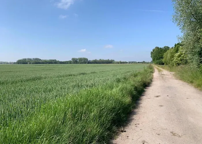 In Near The * Ньивпорт