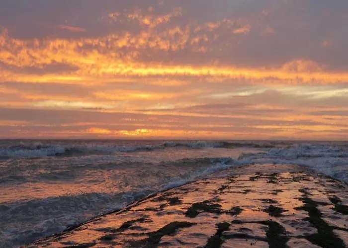 In Near The Ньивпорт