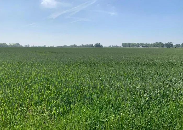 In Near The Апартаменты